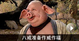 我現(xiàn)在可是大師兄！