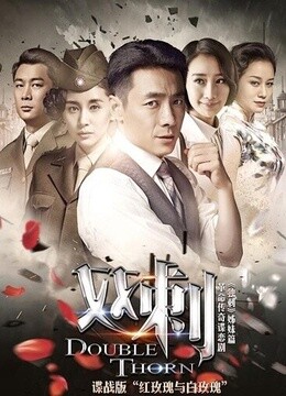 双刺电视剧