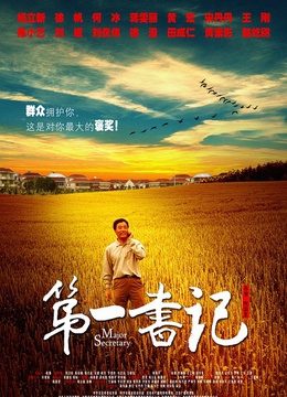 电影 第一书记  豆瓣评分  di yi shu ji 别名: 沈浩日记  导演