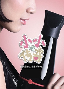 小小传奇(共20集)-全集在线观看–电视剧-爱奇艺全网影视